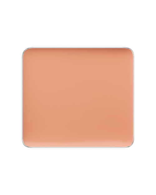 Freedom System Camouflage Concealer 103