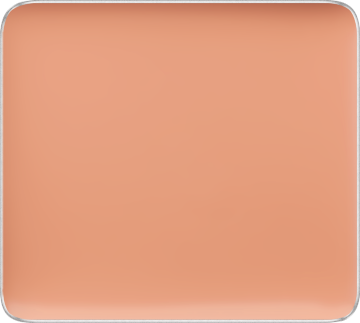 Freedom System Camouflage Concealer 103